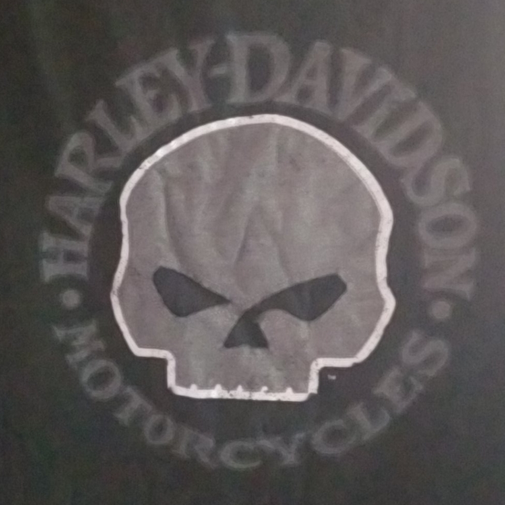 Skull and wings HD tee